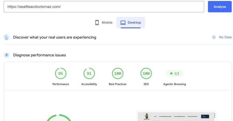 PageSpeed Insights desktop: Performance 95, Accessibility 91, Best Practices 100, SEO 100