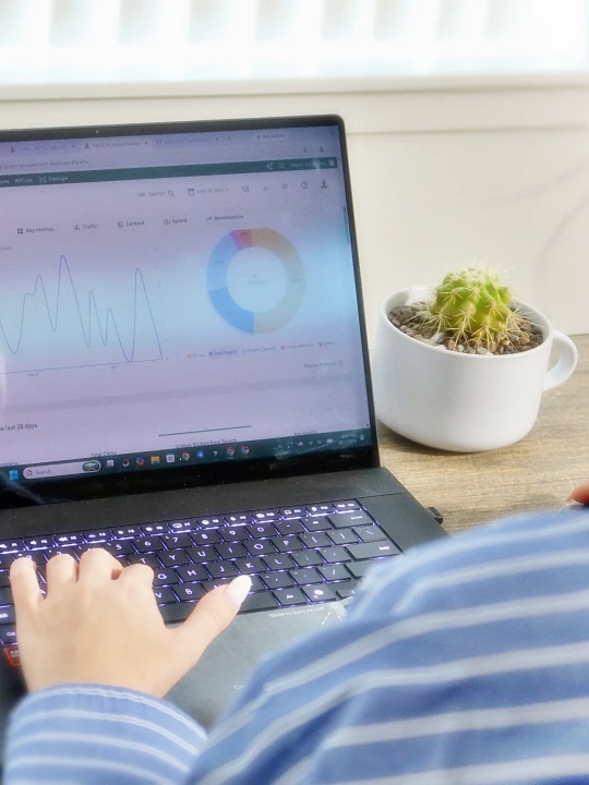 Person at a laptop reviewing search charts, with a cactus on the desk